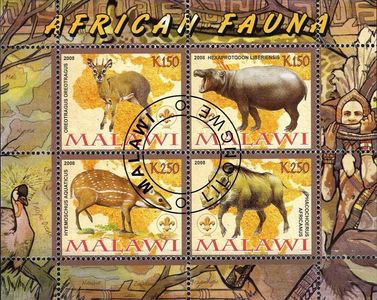 Africká fauna - Malawi 2008