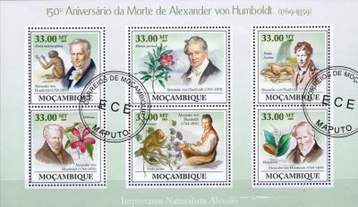 Alexander von Humboldt - Mozambik