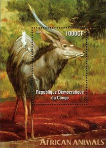 Antilopa - Kongo