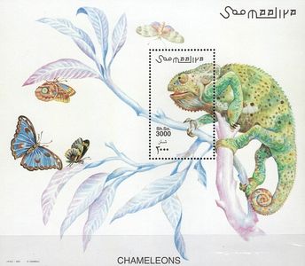 Chameleón - Somálsko 2001