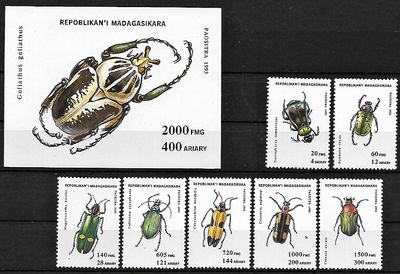 Chrobáky Madagaskar 1994