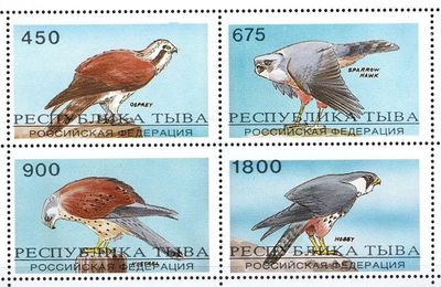 Dravé vtáky - Tuva