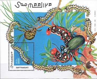 Húsenice - Somálsko 1999