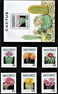 Kaktusy Západná Sahara 1997