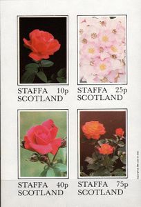 Kvety - STAFFA Škótsko