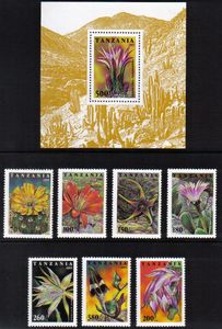 Kvety Tanzánia 1995