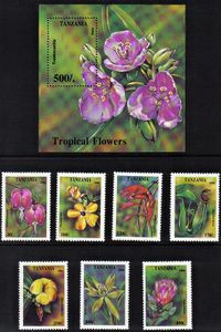 Kvety Tanzánia 1994