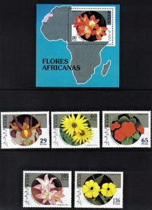 Kvety Západná Sahara 1994