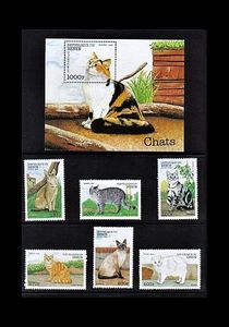 Mačky Benin 1998