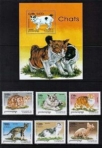 Mačky Kambodža 1998