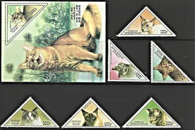 Mačky Togo 1999