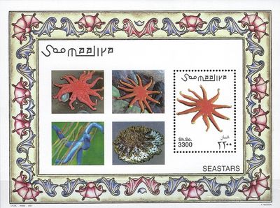 Morské hviezdy - Somálsko 2001