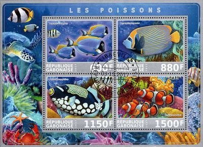 Morské ryby - Gabon 2017