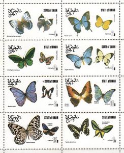 Motýle - Omán