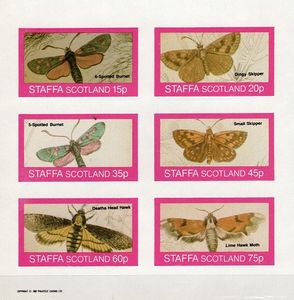Motýle - STAFFA - Škótsko