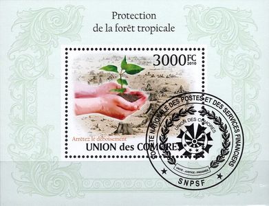Ochrana dažďového pralesa - Komory