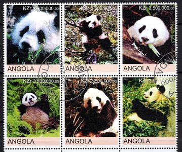 Pandy - Angola 2000
