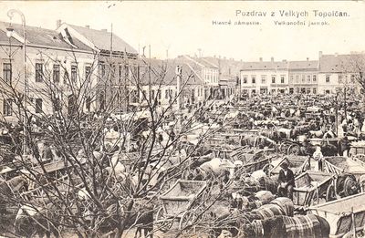 Pohľadnica Topoľčany 1919 - Veľkonočný Jarmok