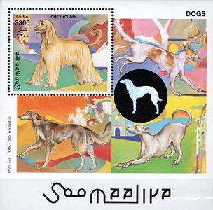 Psy - Somálsko 2003