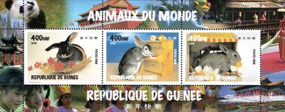 Svet zvierat - Guinea 1998