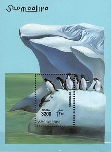 Tučniaky - Somálsko 2001