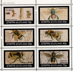 Včely - STAFFA Škótsko