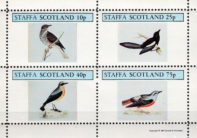 Vtáci - STAFFA Škótsko