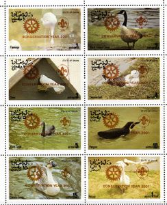 Vtáky - Omán 2001