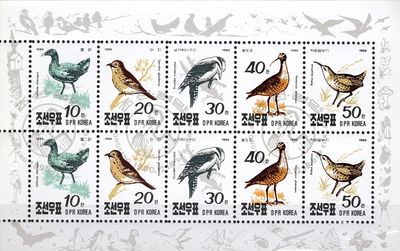 Vtáky - Severná Kórea 1990