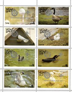 Vtáky strieborná pretlač - Omán 2001