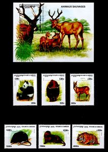 Zvieratá Kambodža 1999